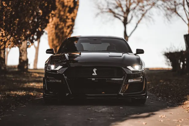 Golden Palace Casino Android/iOS App